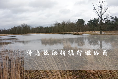 停息挂账找银行谁协商