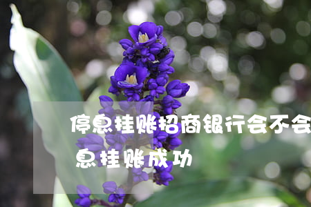停息挂账招商银行会不会收到短信-招行停息挂账成功