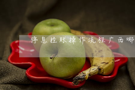 停息挂账操作流程（广西哪里帮办停息挂账）
