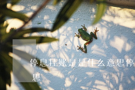 停息挂账是是什么意思(停息挂账是是什么意思)
