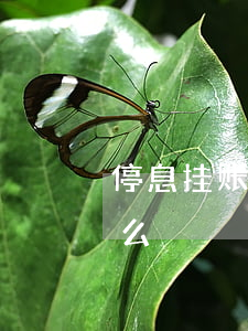停息挂账是真的假的(停息挂账专业术语叫什么)