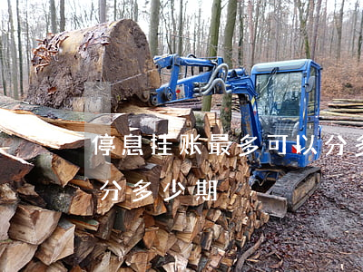 停息挂账最多可以分多久还-停息挂账可以分多少期