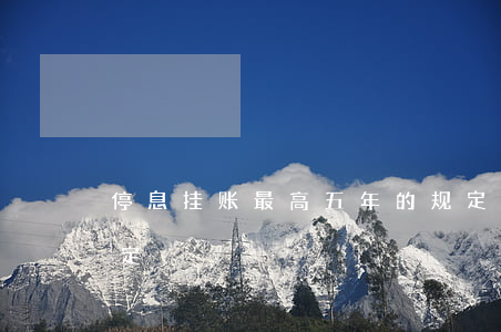 停息挂账最高五年的规定(关于停息挂账的规定)