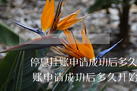 停息挂账申请成功后多久开始还款-停息挂账申请成功后多久开始还款呢