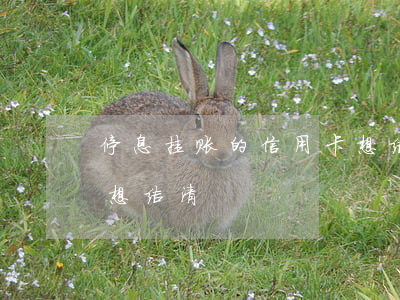 停息挂账的信用卡想结清(停息挂账的信用卡想结清)