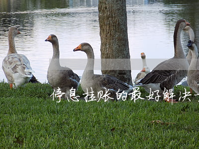停息挂账的最好解决方法(什么叫挂账停息)