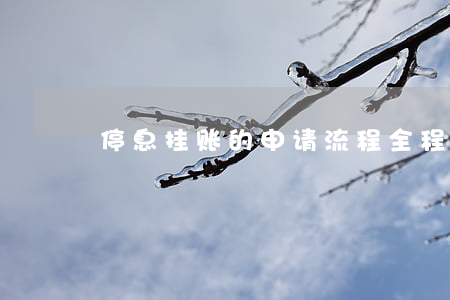 停息挂账的申请流程全程(如何办理停息挂账)
