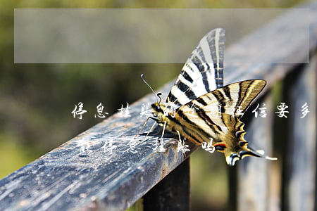 停息挂账的逾期征信要多久才消失(逾期了还能停息挂账吗)
