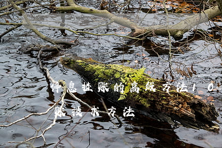 停息挂账的高级方法10分钟一单-停息挂账技术方法