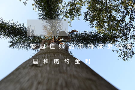 停息挂账能申请减免吗(停息挂账可以免除利息和违约金吗)
