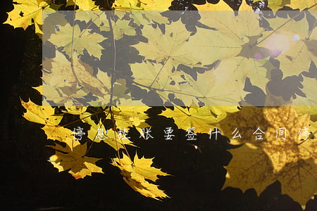 停息挂账要签什么合同(停息挂账合法吗)
