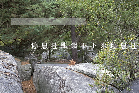停息挂账谈不下来(停息挂账算黑了吗)