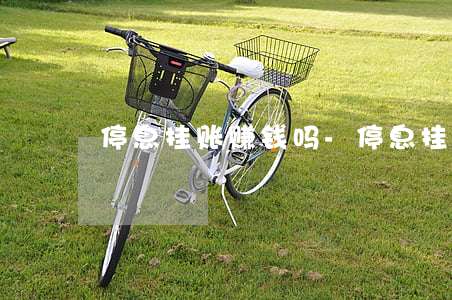 停息挂账赚钱吗-停息挂账的利弊