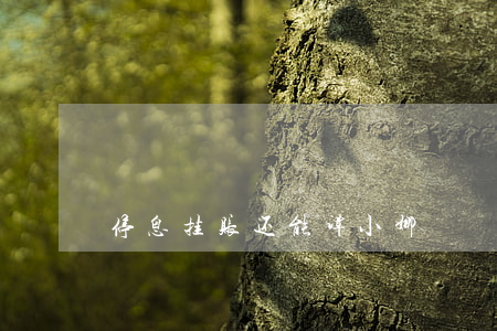 停息挂账还能谭小娜