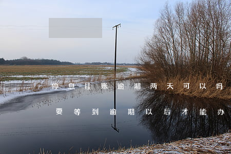 停息挂账逾期两天可以吗(为什么停息挂账非要等到逾期以后才能办理)