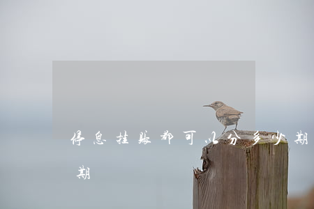 停息挂账都可以分多少期(什么是停息挂账分期)