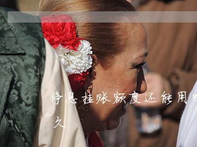 停息挂账额度还能用吗(停息挂账可以申请多久)
