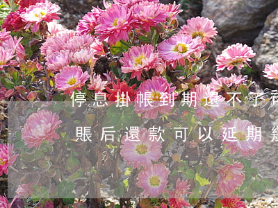 停息掛帳到期還不了可以再申請嗎-停息掛賬后還款可以延期幾天