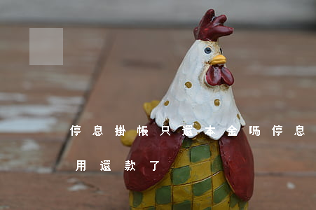 停息掛帳只還本金嗎(停息掛賬是不是暫時不用還款了)