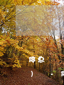 停息掛賬不理想還可以重新申請(qǐng)嗎-停息掛賬不理想還可以重新申請(qǐng)嗎知乎