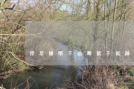 停息掛賬不逾期能不能辦(可以停息掛賬嗎)
