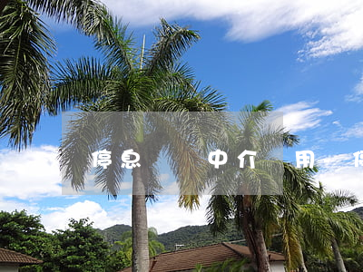 停息掛賬中介費用-停息掛賬中介費用誰出