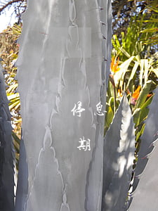 停息掛賬二次分期可以嗎(什么叫停息掛賬分期還)