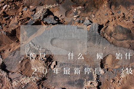 停息掛賬什么時候開始(什么是停息掛賬?2020年最新停息掛賬技術(shù)分享)