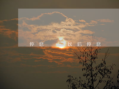 停息掛賬以后（停息掛賬后銷卡）