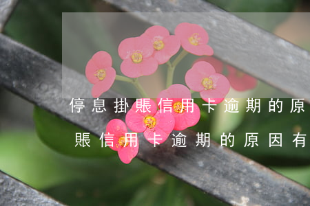 停息掛賬信用卡逾期的原因有哪些-停息掛賬信用卡逾期的原因有哪些呢