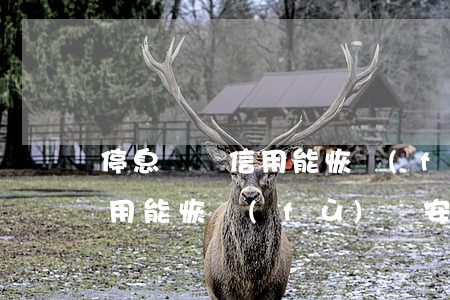 停息掛賬信用能恢復(fù)嗎(停息掛賬信用能恢復(fù)嗎安全嗎)
