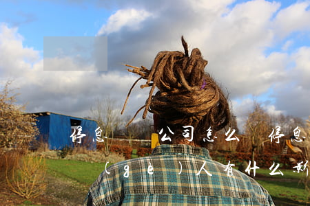 停息掛賬公司怎么辦 停息掛賬對(duì)個(gè)人有什么影響