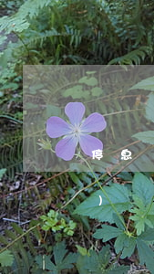 停息掛賬公司收費(fèi)標(biāo)準(zhǔn)-停息掛賬的要求