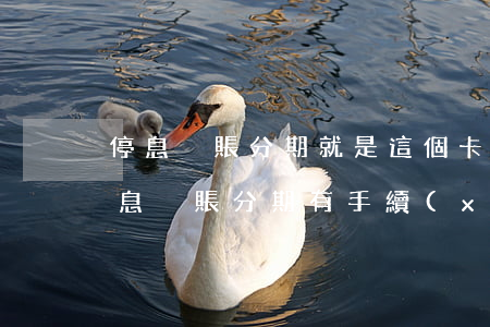 停息掛賬分期就是這個卡沒法用了是吧-停息掛賬分期有手續(xù)費嗎