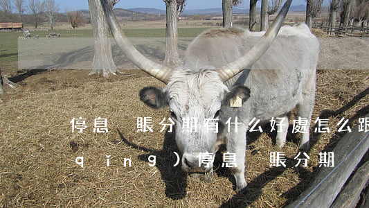 停息掛賬分期有什么好處(怎么跟銀行申請(qǐng)停息掛賬分期)