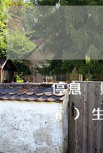 停息掛賬利息成功之后為什么會產(chǎn)生利息呢-停息掛賬利息成功之后為什么會產(chǎn)生利息呢