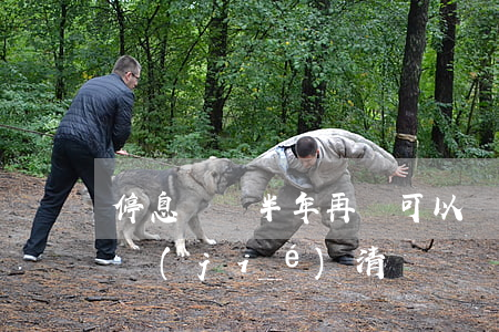 停息掛賬半年再還可以嗎(停息掛賬可以提前結(jié)清嗎)