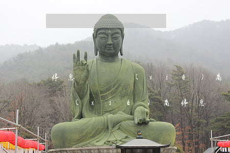 停息掛賬協(xié)商完有短信嗎(跟銀行協(xié)商停息掛賬怎么說)