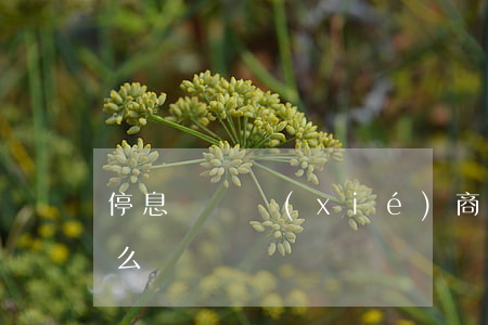 停息掛賬協(xié)商怎么做(停息掛賬怎么談)