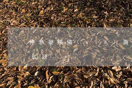 停息掛賬協(xié)商怎么去(停息掛賬怎么談)