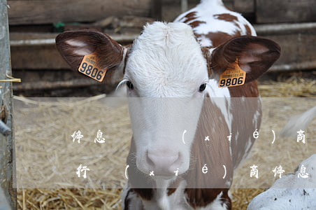 停息掛賬協(xié)商話術全套教程(向銀行協(xié)商停息掛賬應該怎么說)