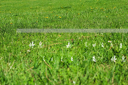 停息掛賬去網(wǎng)點(diǎn)協(xié)商-停息掛賬去網(wǎng)點(diǎn)協(xié)商