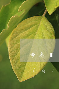 停息掛賬可以免哪些費(fèi)用(多少錢(qián)可以停息掛賬)