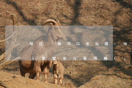 停息掛賬可以坐高鐵?-停息掛賬會(huì)影響坐火車飛機(jī)嗎