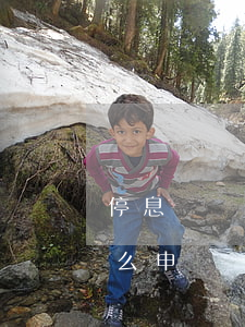 停息掛賬可以申訴嗎(停息掛賬可以申訴嗎怎么申請)