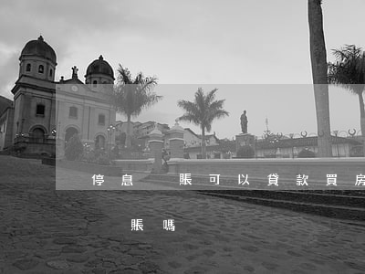 停息掛賬可以貸款買房嗎(銀行貸款可以停息掛賬嗎)