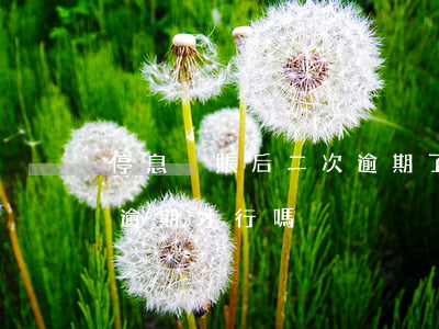 停息掛賬后二次逾期了(掛帳停息需要處理完逾期才行嗎)