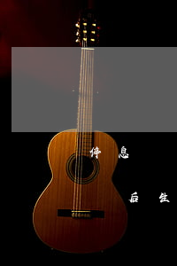 停息掛賬后生意失敗還不了怎么辦-停息掛賬后生意失敗還不了怎么辦呢