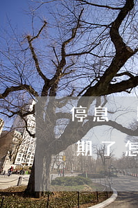 停息掛賬后逾期了一天有事嗎 停息掛賬后逾期了怎么辦