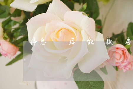 停息掛賬后還能貸款買房嗎(房貸可以停息掛賬嗎)
